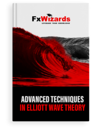 Book cover with a big red wave in the sea. FxWizards logo on top and Advanced Techniques in Elliott Wave Theory at the bottom in black background.